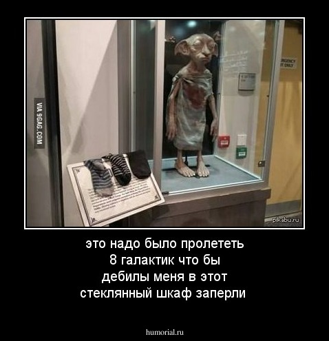 это надо было пролететь 8 галактик что бы дебилы меня в этот стеклянный шкаф заперли 