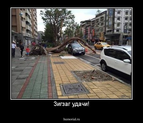 Зигзаг удачи!