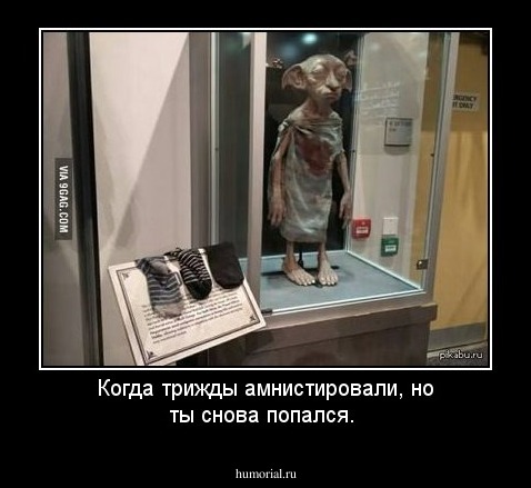 Когда трижды амнистировали, но ты снова попался.