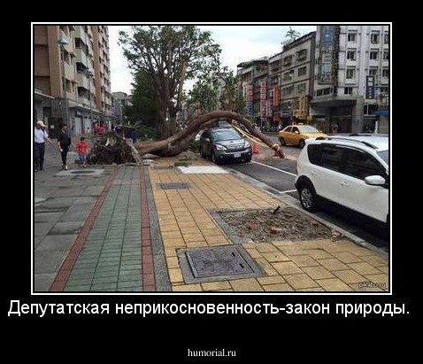 Депутатская неприкосновенность-закон природы.
