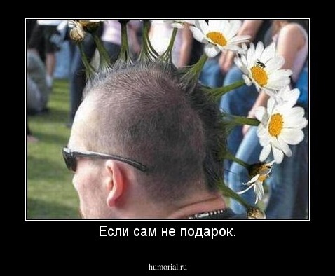 Если сам не подарок.