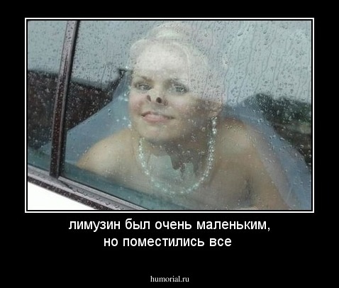 лимузин был очень маленьким, но поместились все