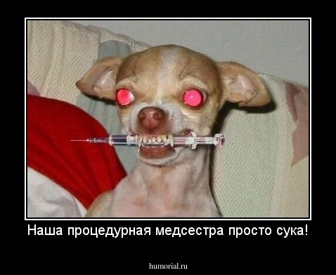 Наша процедурная медсестра просто сука!