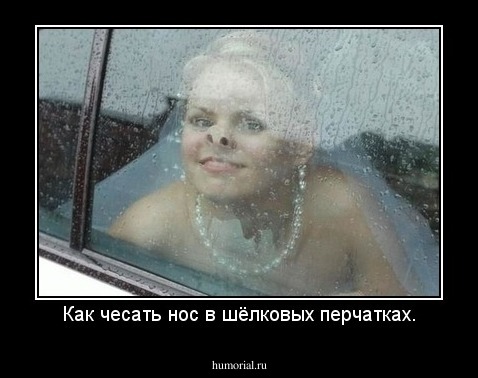 Как чесать нос в шёлковых перчатках.