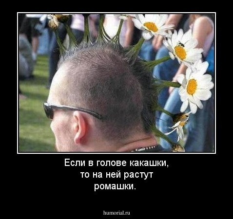 Если  в  голове какашки, то  на  ней  растут  ромашки.