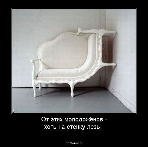 От этих молодожёнов  - хоть на стенку лезь!