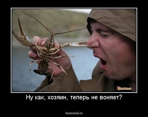 Ну как, хозяин, теперь не воняет?