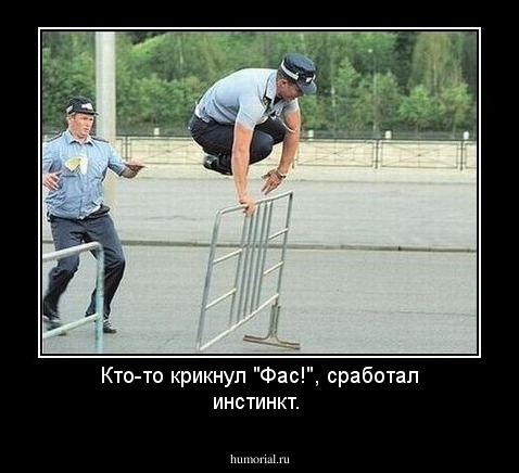 Кто-то крикнул "Фас!", сработал инстинкт.