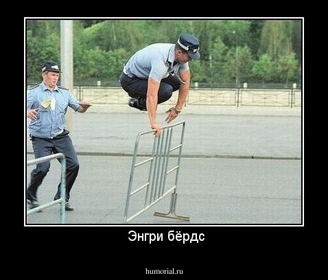  Энгри бёрдс