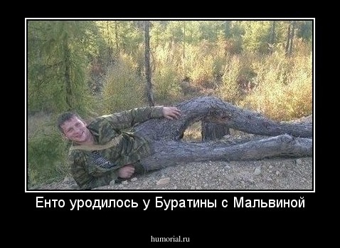 Енто уродилось у Буратины с Мальвиной