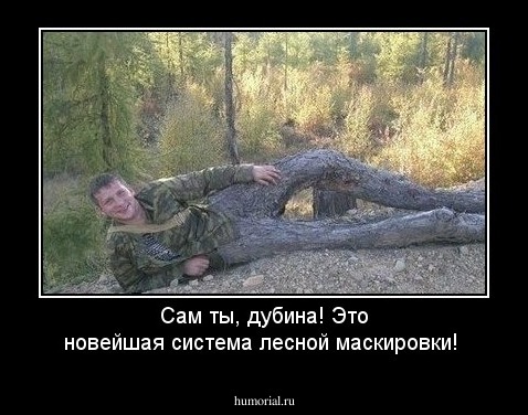 Сам ты, дубина! Это новейшая система лесной маскировки!