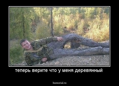 теперь верите что у меня деревянный 