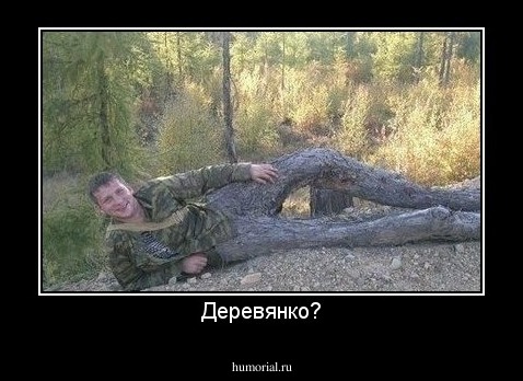 Деревянко?