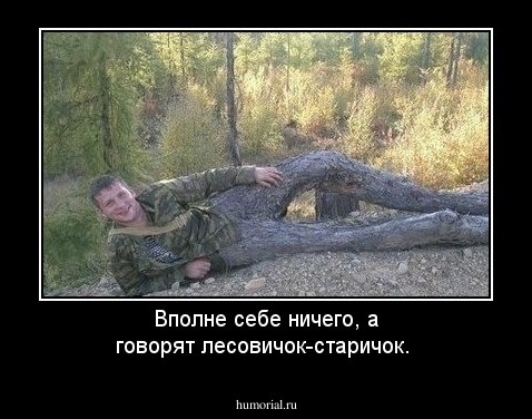 Вполне себе ничего, а говорят лесовичок-старичок. 