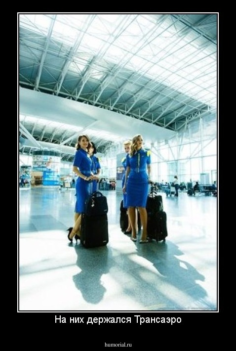 На них держался Трансаэро