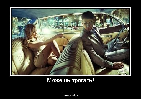 Можешь трогать!