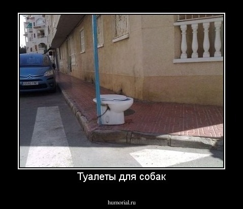 Туалеты для собак