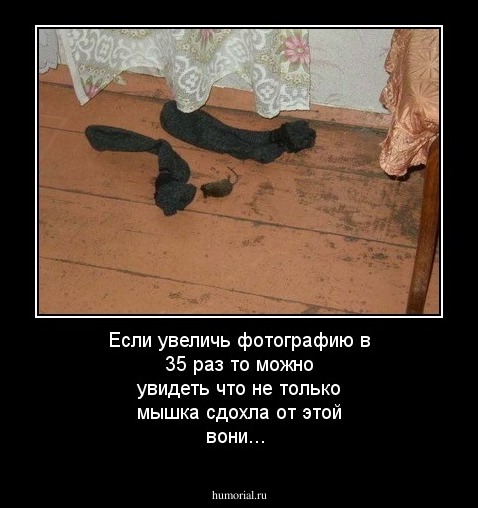 Если увеличь фотографию в 35 раз то можно увидеть что не только мышка сдохла от этой вони...