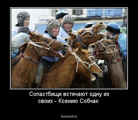 Сопастбищи встечают одну из своих - Ксению Собчак