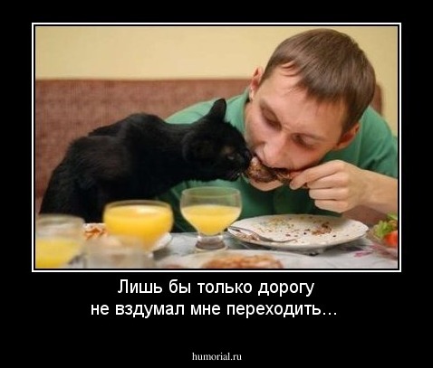 Лишь бы только дорогу не вздумал мне переходить...