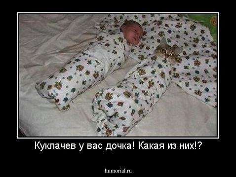 Куклачев у вас дочка! Какая из них!?