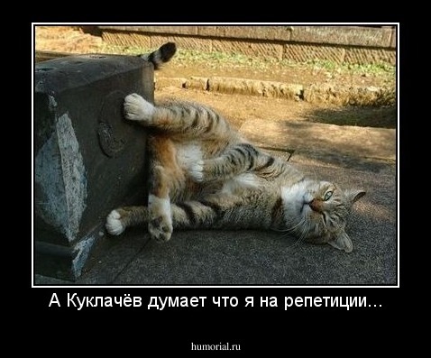А Куклачёв думает что я на репетиции...