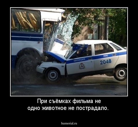 При съёмках фильма не одно животное не пострадало.