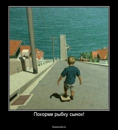 Покорми рыбку сынок!