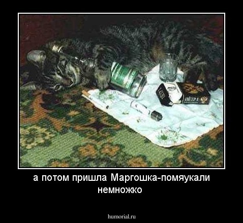 а потом пришла Маргошка-помяукали немножко
