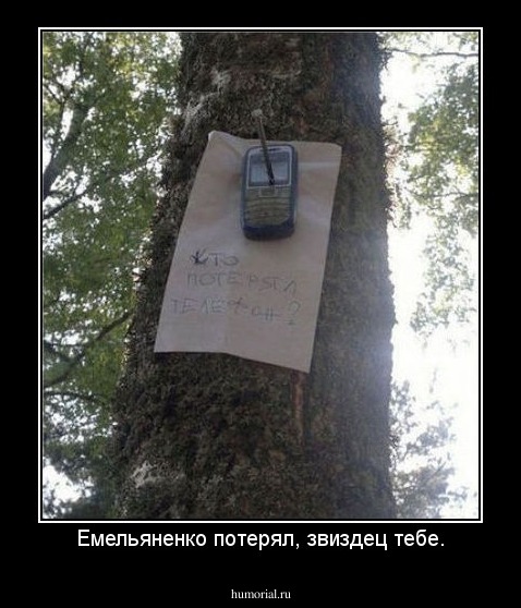 Емельяненко потерял, звиздец тебе.