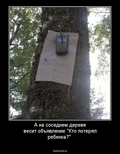 А на соседнем дереве весит объявление "Кто потерял ребенка?"
