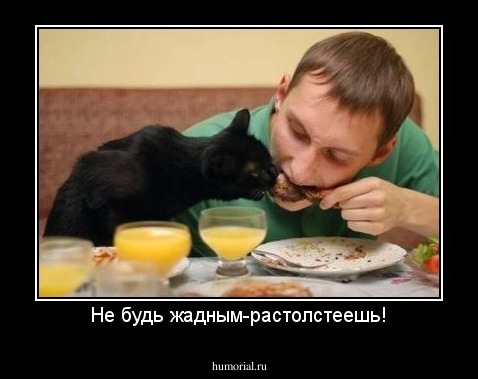 Не будь жадным-растолстеешь!