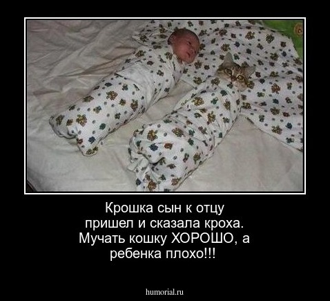 Крошка сын  к отцу пришел и сказала кроха. Мучать кошку ХОРОШО, а ребенка плохо!!!