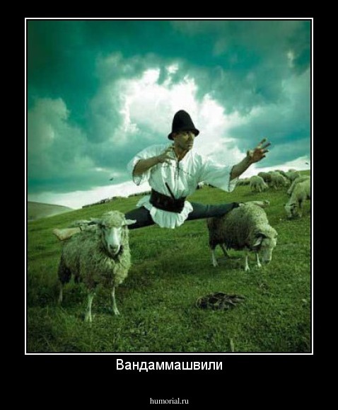 Вандаммашвили
