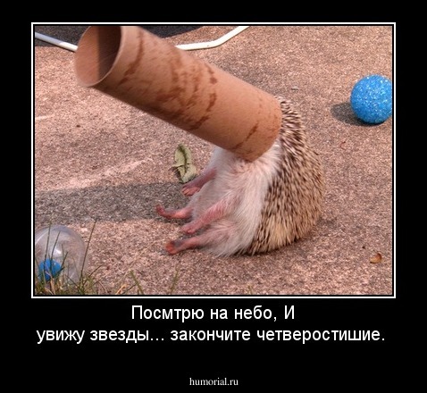 Посмтрю на небо,                                                                           И увижу звезды...   закончите четверостишие.