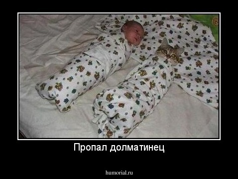 Пропал долматинец