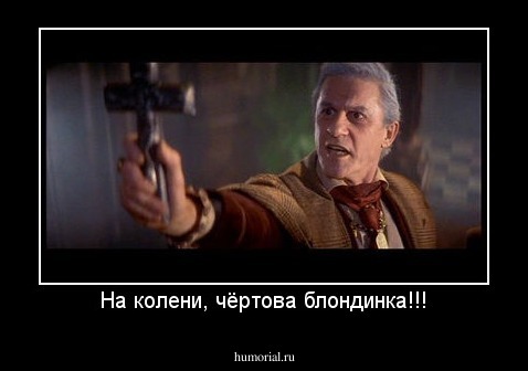 На колени, чёртова блондинка!!!