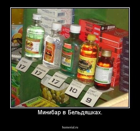 Минибар в Бельдяшках.