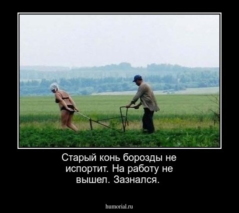 Старый конь борозды не испортит. На работу не вышел. Зазнался.