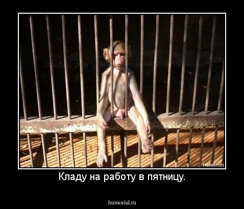 Кладу на работу в пятницу.