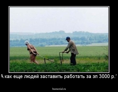 А как еще людей заставить работать за з\п 3000 р.?