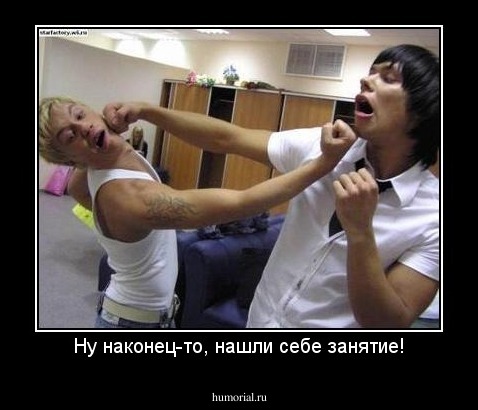 Ну наконец-то, нашли себе занятие!