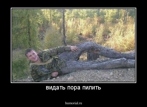видать пора пилить