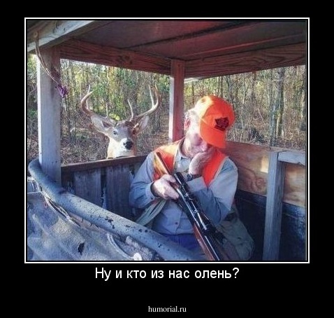 Ну и кто из нас олень?