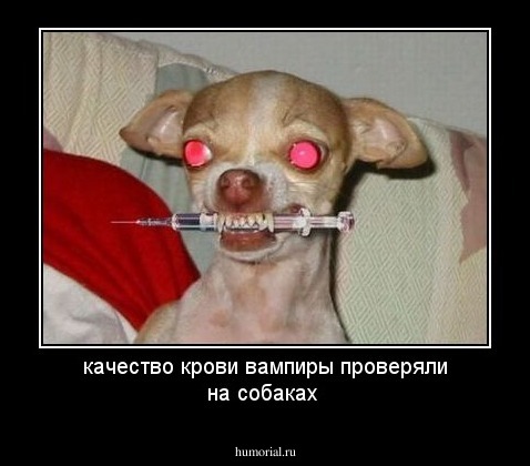 качество крови вампиры проверяли на собаках