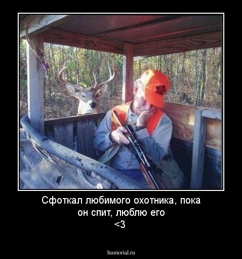 Сфоткал любимого охотника, пока он спит, люблю его <3