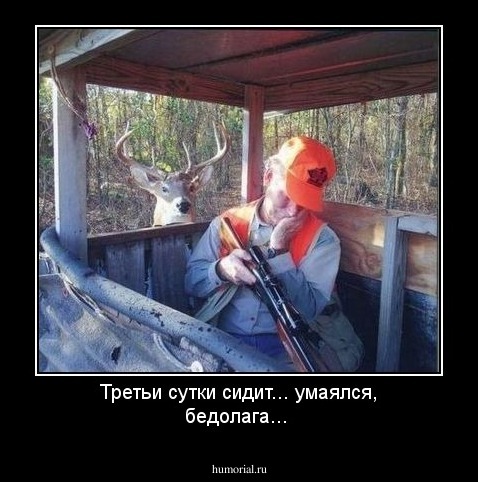 Третьи сутки сидит... умаялся, бедолага...