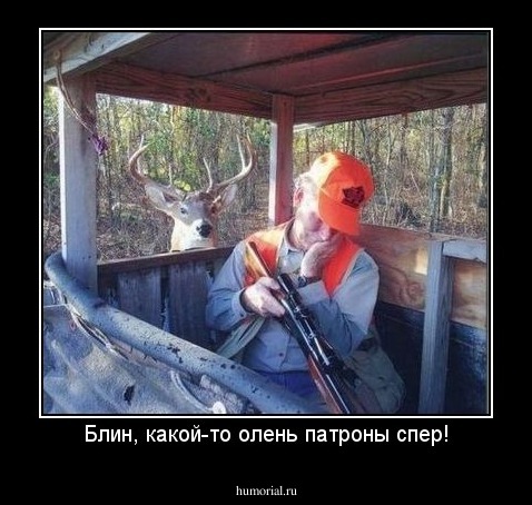 Блин, какой-то олень патроны спер!