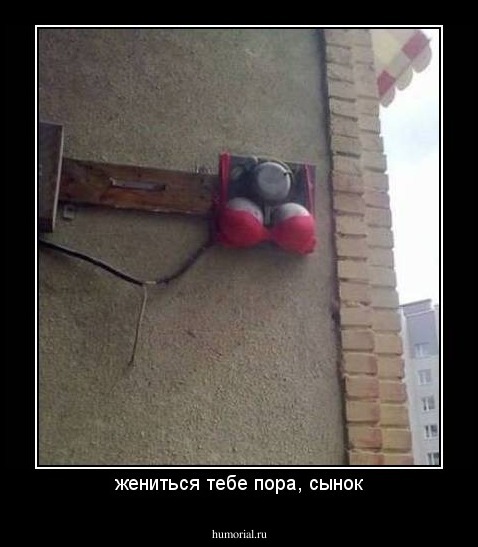 жениться тебе пора, сынок