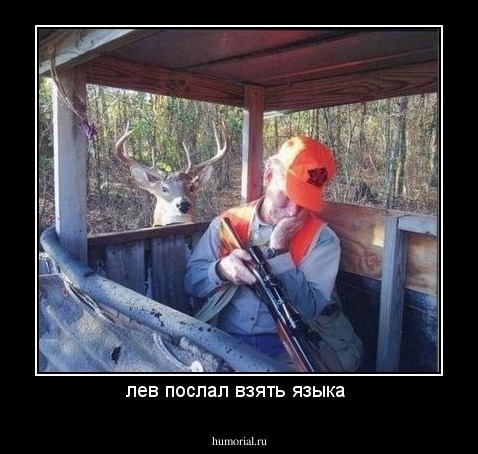 лев послал взять языка 